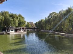 -团结湖公园