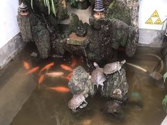 -丽江庭院·云南野生菌·海鲜火锅(鼓楼四合院店)