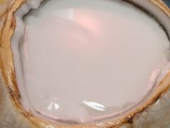 招牌双层椰子冻-张猫猫爱吃鱼
