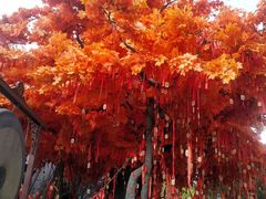 -济南方特东方神画