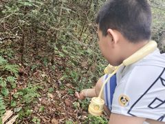 -茅兰沟国家森林公园