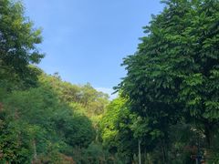 -红花湖景区