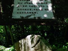 -上海佘山国家森林公园天马山园