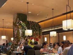 -阿露佳·舌尖上的安吉菜