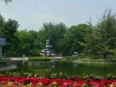 android_upload_pic-南馆公园