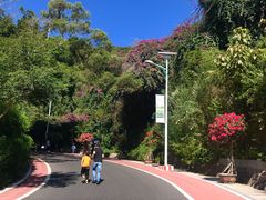 -仙岳公园