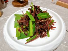 -芸山季·云南野生菌火锅(宝能环球汇店)