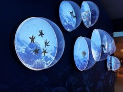 -上海中国航海博物馆