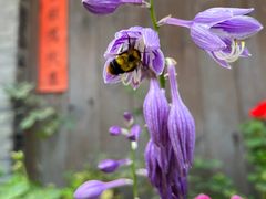 -海窝子古镇
