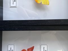 -上海长江河口科技馆