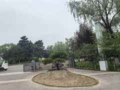 -大兴滨河森林公园