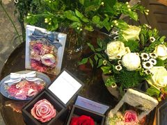 -植物学家的女儿(北马道巷店)