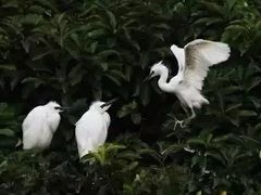 -前小桔亲子创意农场·草莓采摘·露营烧烤