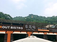 -Local泰莲庭(虹鳟鱼店)