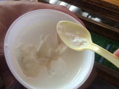 -清真马记宫廷奶酪(广渠门内大街店)