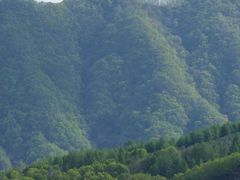 -章樾公园