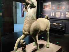 -广西壮族自治区博物馆