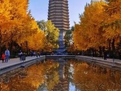 -玲珑塔公园