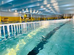 -极动室内恒温游泳馆