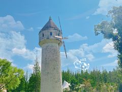 -东平国家森林公园