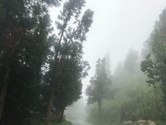 -南岳衡山风景名胜区