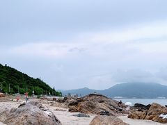 -杨梅坑
