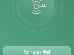 -新加坡乌节希尔顿酒店 (SG Clean)