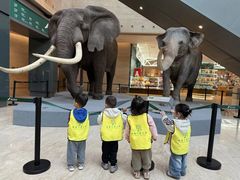 -宾果蒙特梭利托育儿童之家幼儿园(爱琴海店)