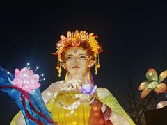 -武汉园博园(武汉自然博物馆)