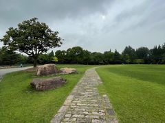 -上海滨江森林公园