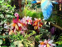 -正佳雨林生态植物园