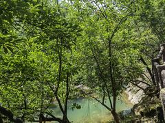 -广州白江湖森林公园