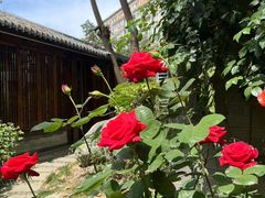 -大妙火锅·非物质文化遗产(东湖公园店)