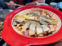 -1937青岛老味道·海肠捞饭·青岛菜(大鲍岛栈桥店)