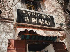 -古树酸奶(八廓南街店)