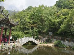 -王顺山国家森林公园