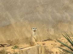 -杭州野生动物世界