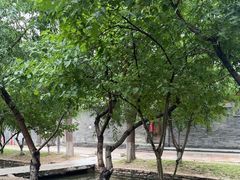 -春风习习