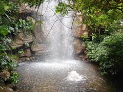 -昆明植物园