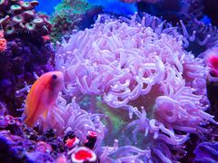-上海海昌海洋公园