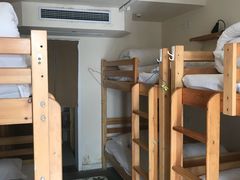 -两棵枇杷树