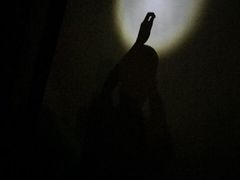 -恺庐茶园(宽窄巷子景区店)