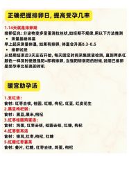 -臻康乃馨月子中心(集美店)