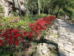-雁荡山三折瀑景区