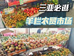 -羊栏农贸市场(羊新路店)