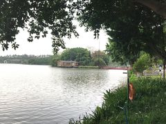 -海珠湖公园