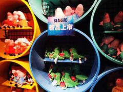 -沈阳海洋探索中心