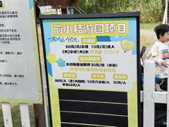 -前小桔亲子创意农场·草莓采摘·露营烧烤