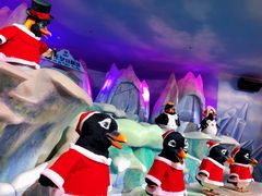 -帝企鹅自助餐厅•儿童岛•真企鹅(长隆企鹅酒店)