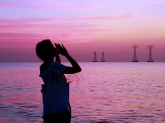 -宝安西湾红树林湿地公园